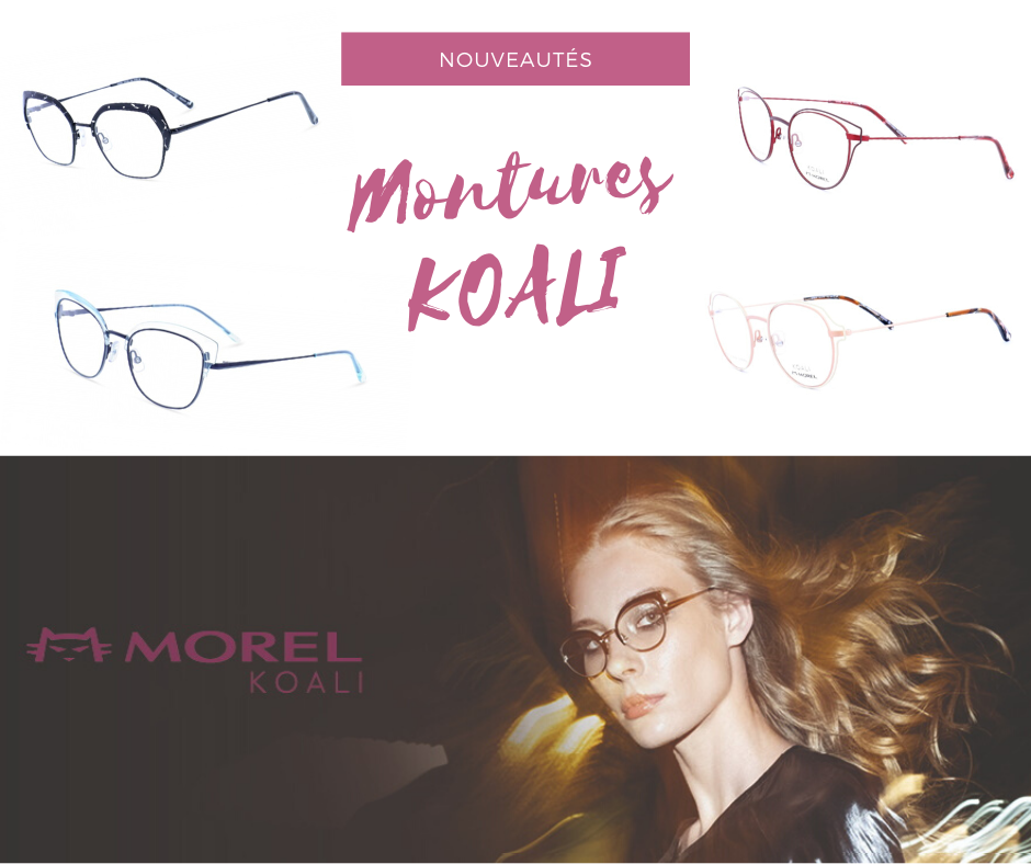 Lire la suite à propos de l’article Koali – Les nouveautés
