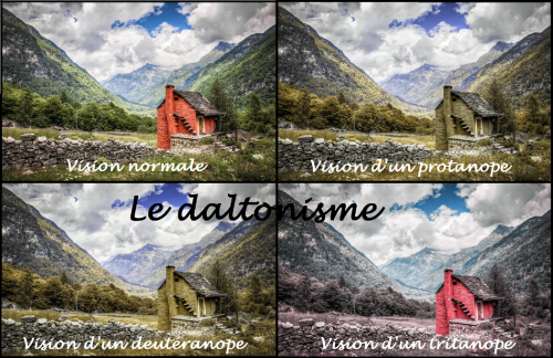 vision du daltonien