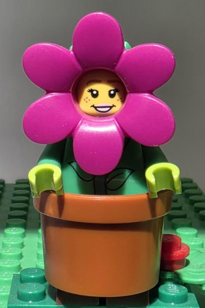 fleur lego